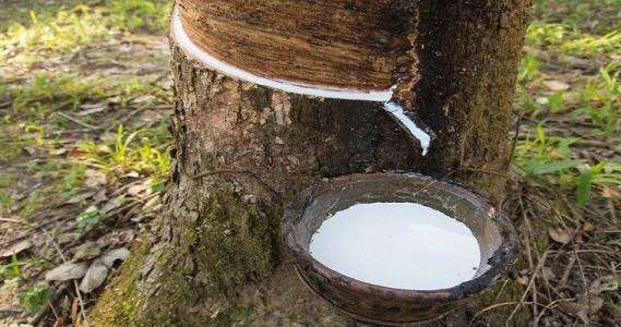 橡胶创年内新低！轮胎企业集体减产，库存压力巨大